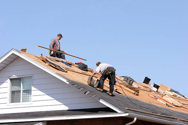 Best Skylight Installation and Repair  in Beaver Falls, PA